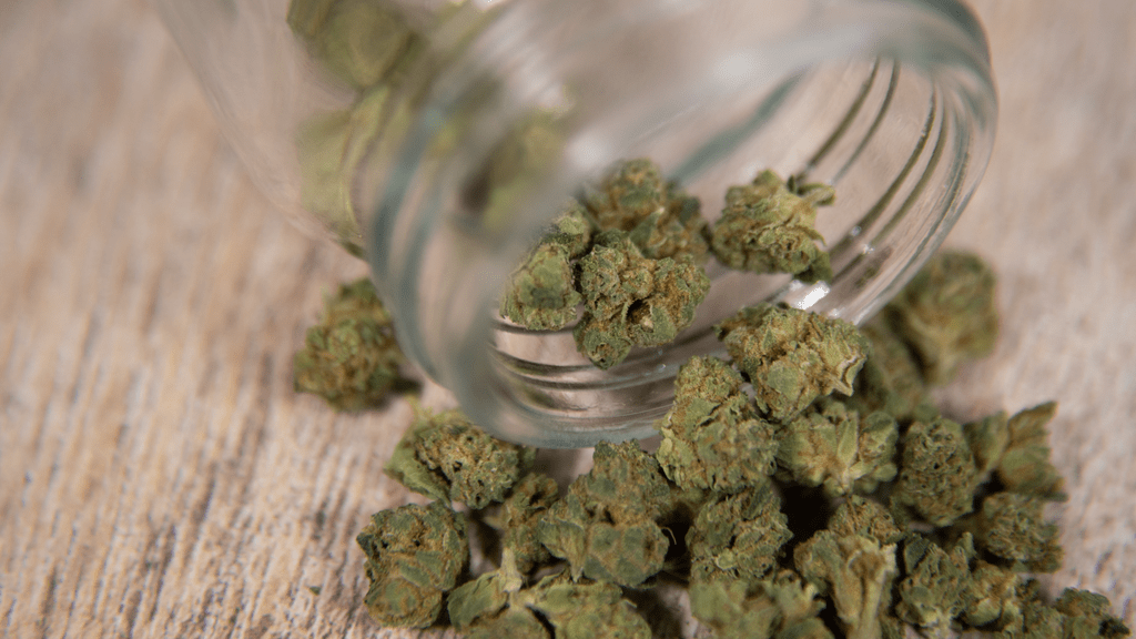 Marijuana Laws for Boaters: Why the Coast Guard Doesn’t Care About State Legalization